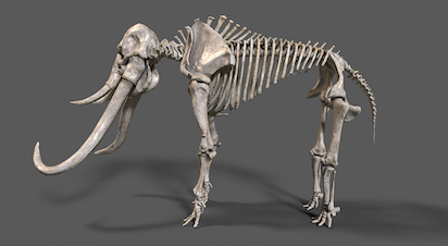 Funcom - Mammoth