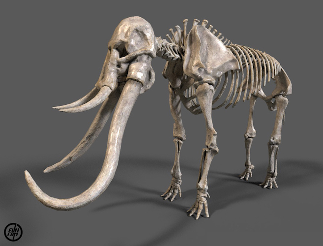 Funcom - Mammoth
